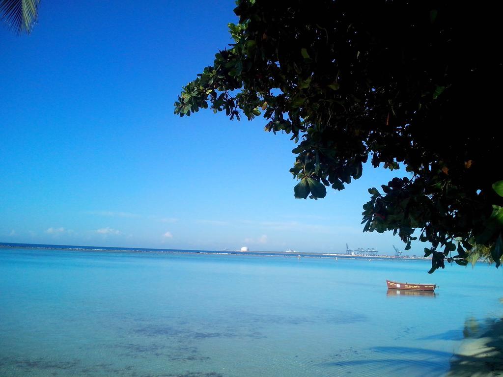 Eco Hotel Club Rolling Stone Boca Chica Exteriör bild