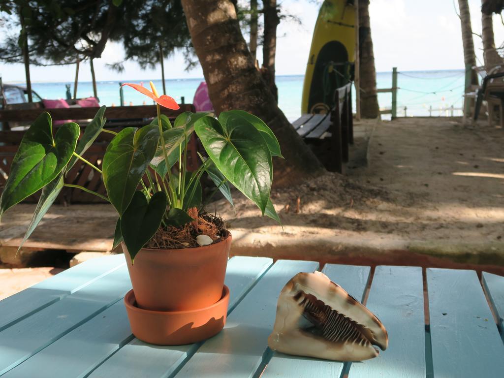 Eco Hotel Club Rolling Stone Boca Chica Exteriör bild