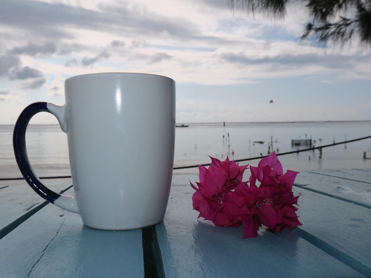 Eco Hotel Club Rolling Stone Boca Chica Exteriör bild